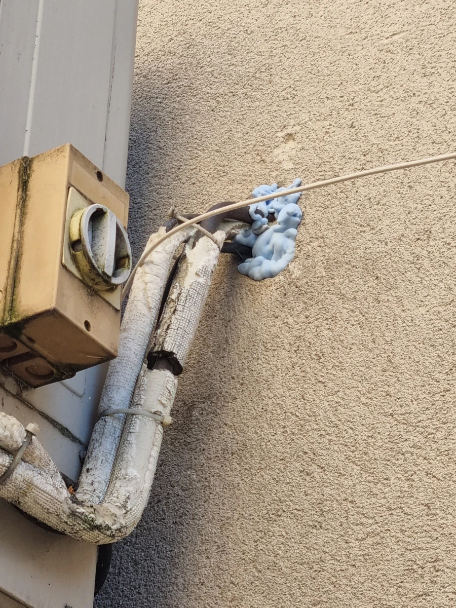 Mousse biocide pour vérifier les points d'accès 